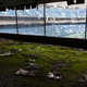 Illustration for article titled Striking Photos From Inside The Abandoned Silverdome